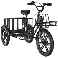 Hitway ELEKGO 03 Cargo E-Bike 48V 18Ah EGO 03 Electric Cargo Tricycle