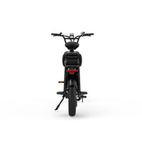 KOOLUX X8 750W 48V 65AH E-Bike Hydraulic Brakes Cargo Electric Bike