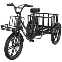 Hitway ELEKGO 03 Cargo E-Bike 48V 18Ah EGO 03 Electric Cargo Tricycle