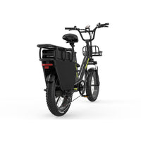 KOOLUX X8 750W 48V 65AH E-Bike Hydraulic Brakes Cargo Electric Bike