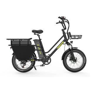 KOOLUX X8 750W 48V 65AH E-Bike Hydraulic Brakes Cargo Electric Bike
