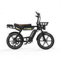 KOOLUX X9 Pro Ebike Dual Battery 48V 15.6AH*2 20*4.0'' Tire Hydraulic Brakes Electric Bike