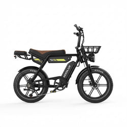 eBikes