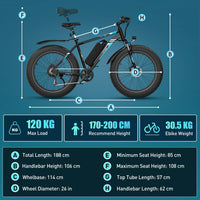 Hitway BK15 4.0 Fat Tire Electric Bike