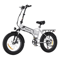 KOOLUX BK10S 48V 13Ah Lithium Battery 20*4.0 Inch Tire Folding Electric Bike